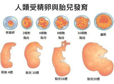 昆明送子鸟医院