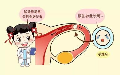 昆明送子鸟医院