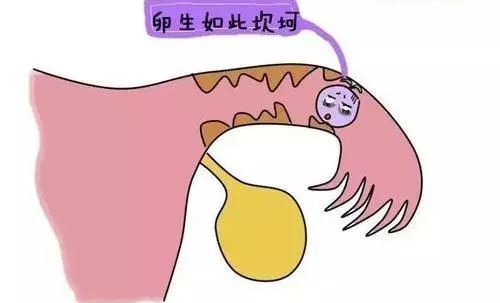 昆明送子鸟医院
