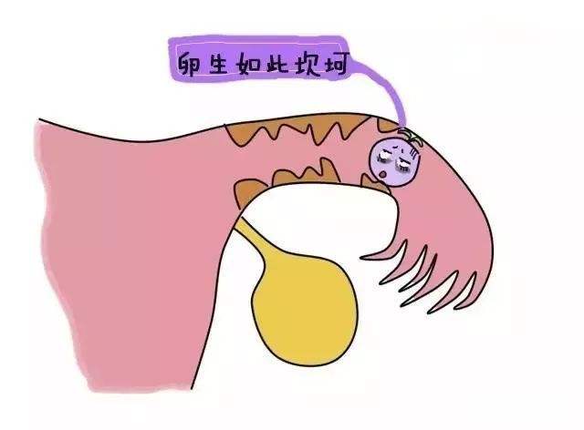 昆明送子鸟医院