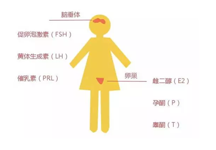昆明送子鸟医院