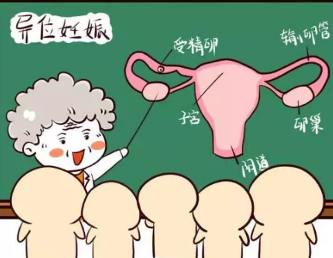 昆明送子鸟医院