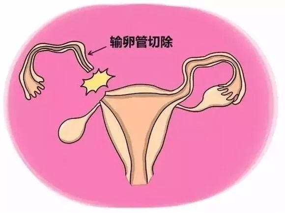 昆明送子鸟医院