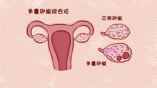 昆明送子鸟医院