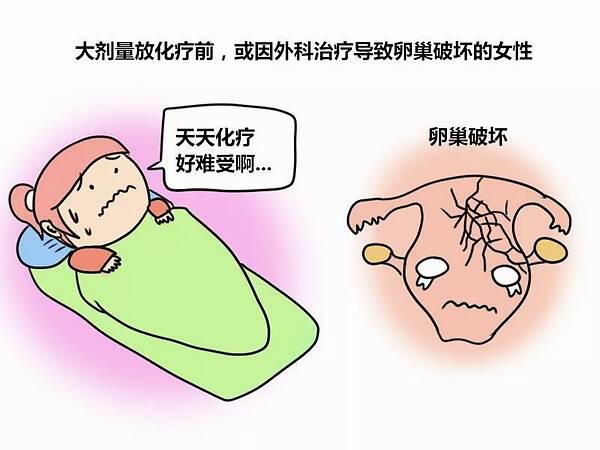 昆明送子鸟医院