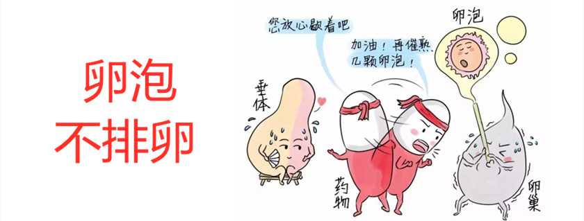 昆明送子鸟医院