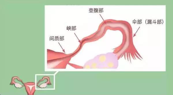 昆明送子鸟医院