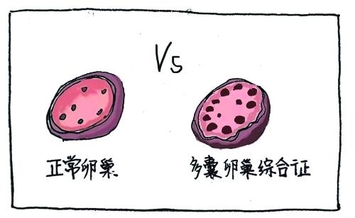 昆明送子鸟医院
