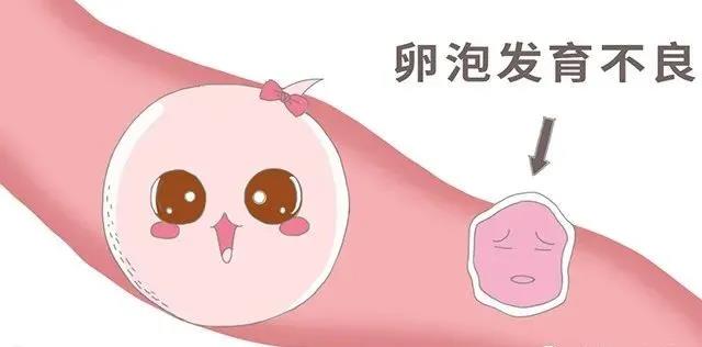 昆明送子鸟医院