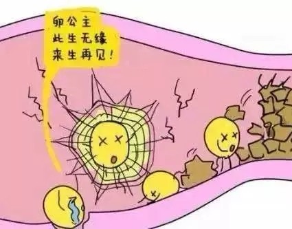昆明送子鸟医院
