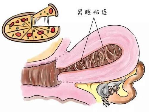 昆明送子鸟医院