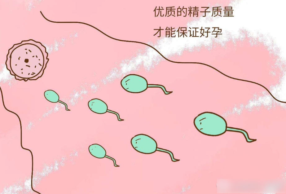 昆明送子鸟医院