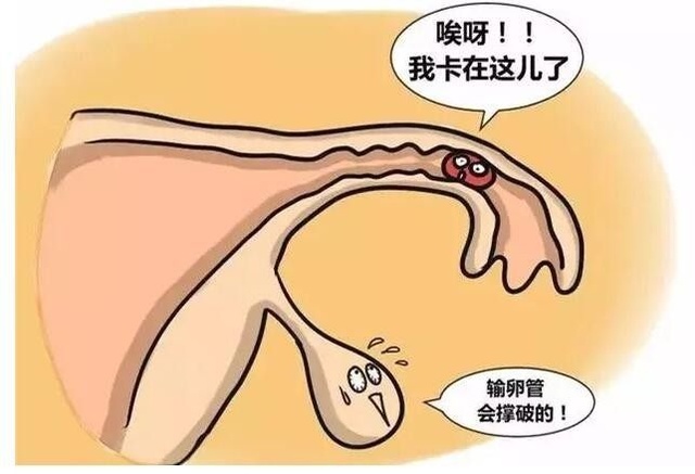 昆明送子鸟医院