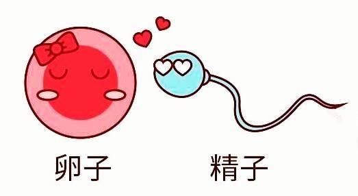 昆明送子鸟医院