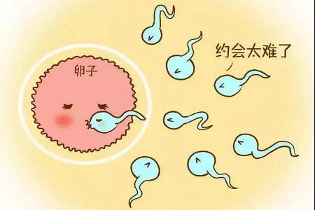昆明送子鸟医院