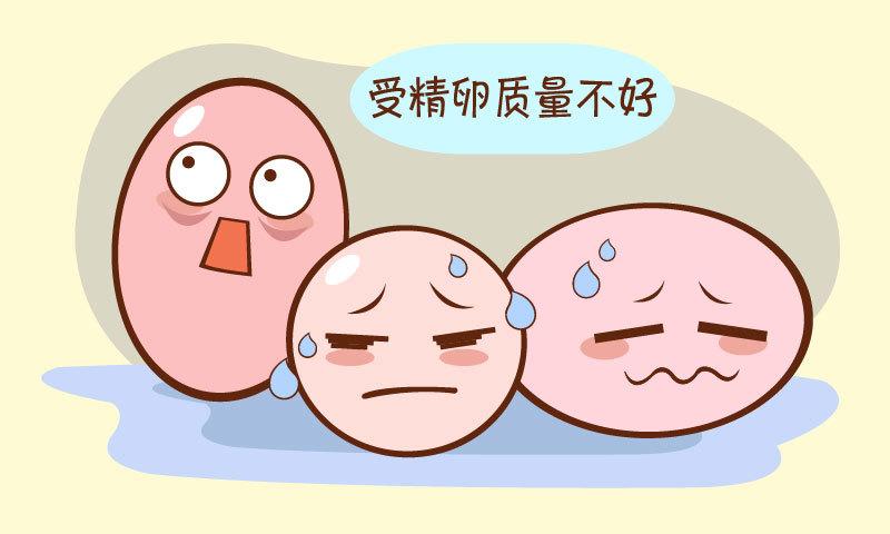 昆明送子鸟医院