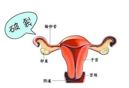 昆明送子鸟医院
