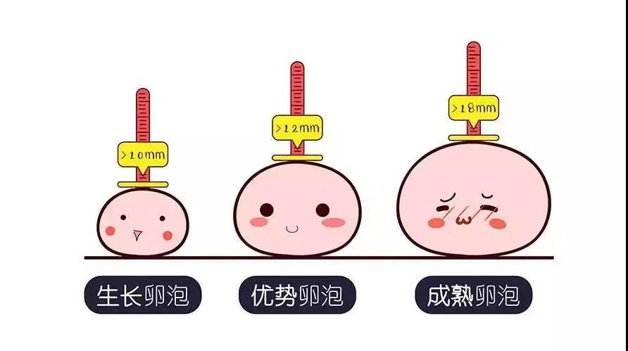 昆明送子鸟医院