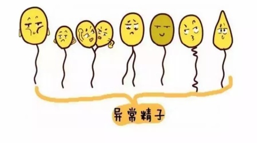 昆明送子鸟医院