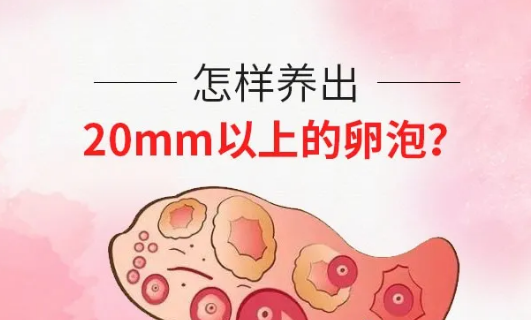 昆明送子鸟医院