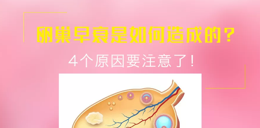 昆明送子鸟医院