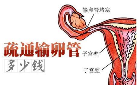 昆明送子鸟医院