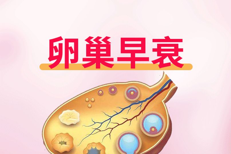 昆明送子鸟医院