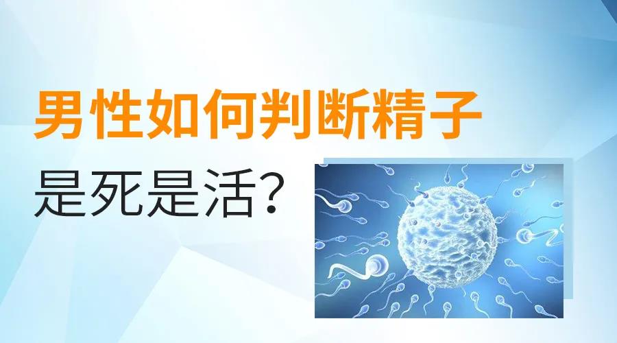 昆明送子鸟医院