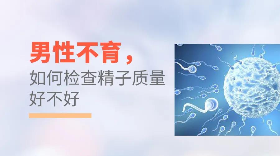 昆明送子鸟医院