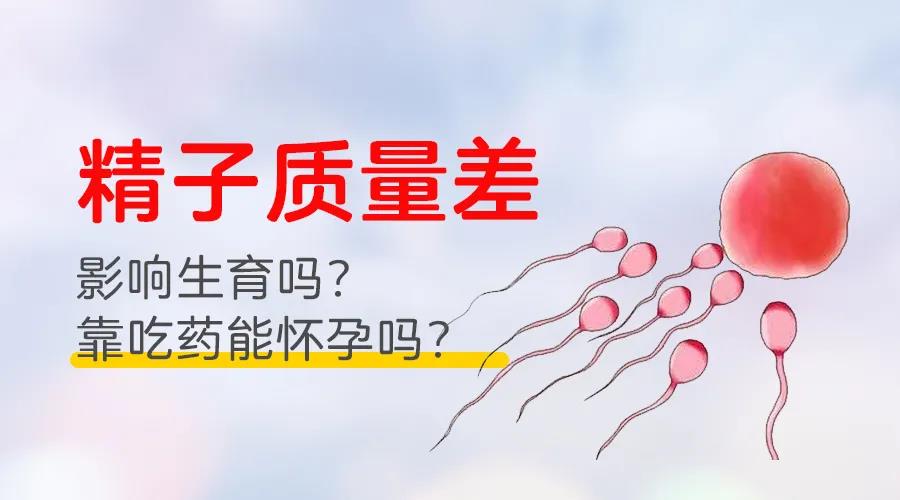 昆明送子鸟医院