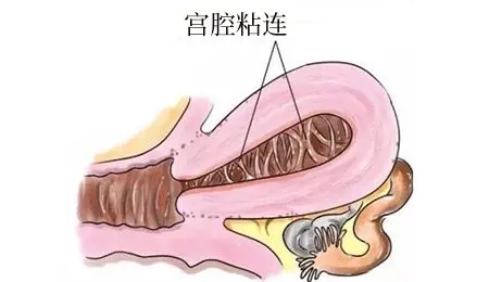 昆明送子鸟医院