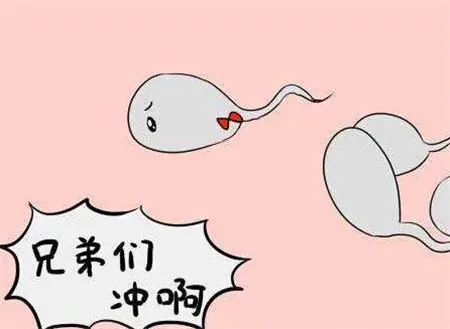 昆明送子鸟医院