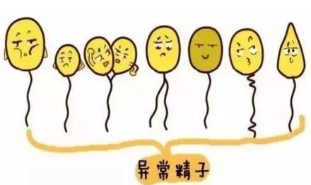 昆明送子鸟医院