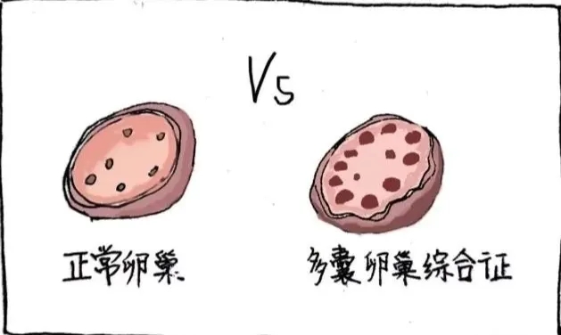 昆明送子鸟医院科普