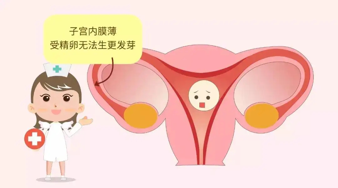 昆明送子鸟医院