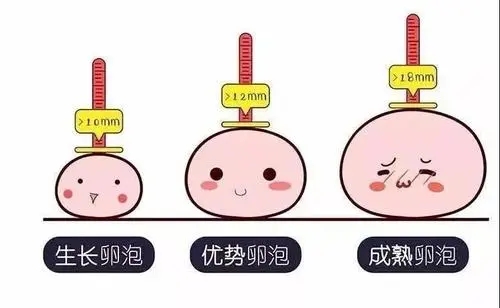 昆明送子鸟医院