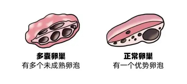 昆明送子鸟医院